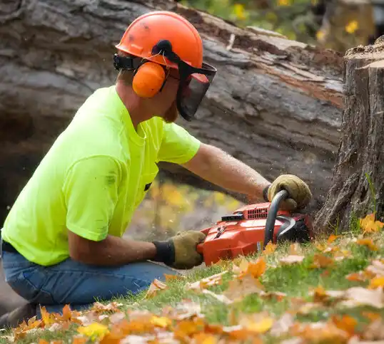 tree services Piedmont